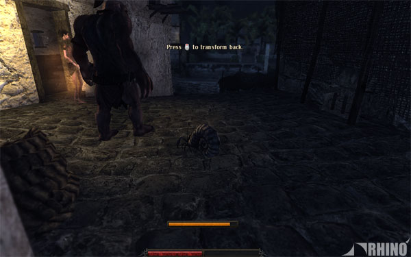 risen_pre_07.jpg