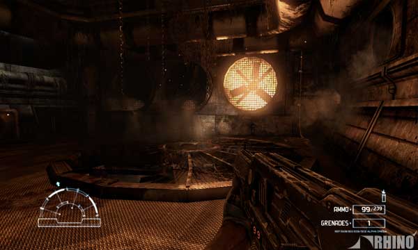 avp_03.jpg