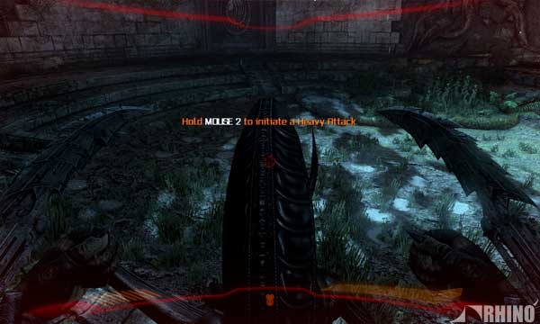 avp_04.jpg
