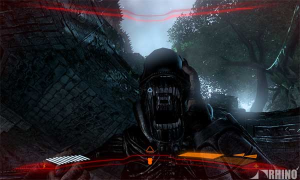 avp_05.jpg