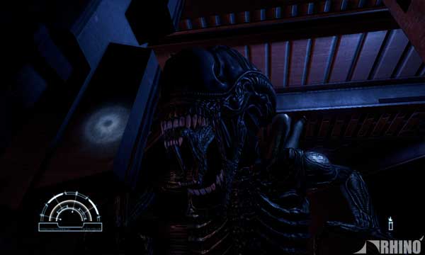 avp_02.jpg
