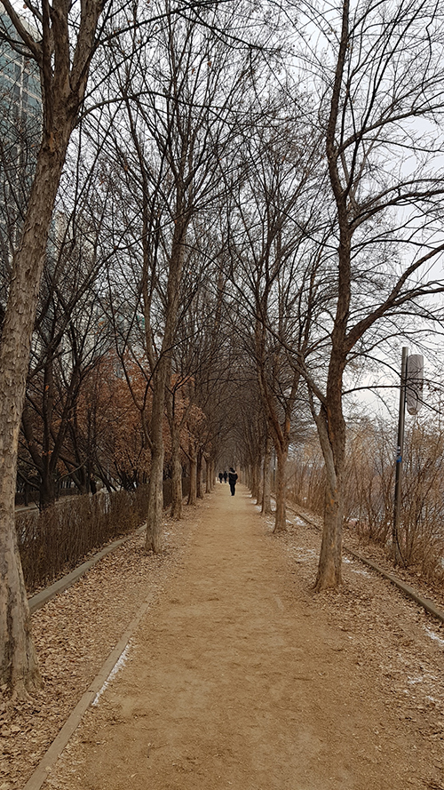 20180113_02.jpg