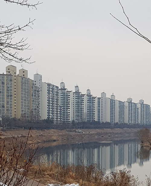 20180113_03.jpg