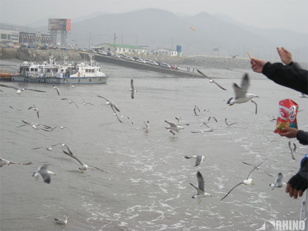 20100228_02.jpg