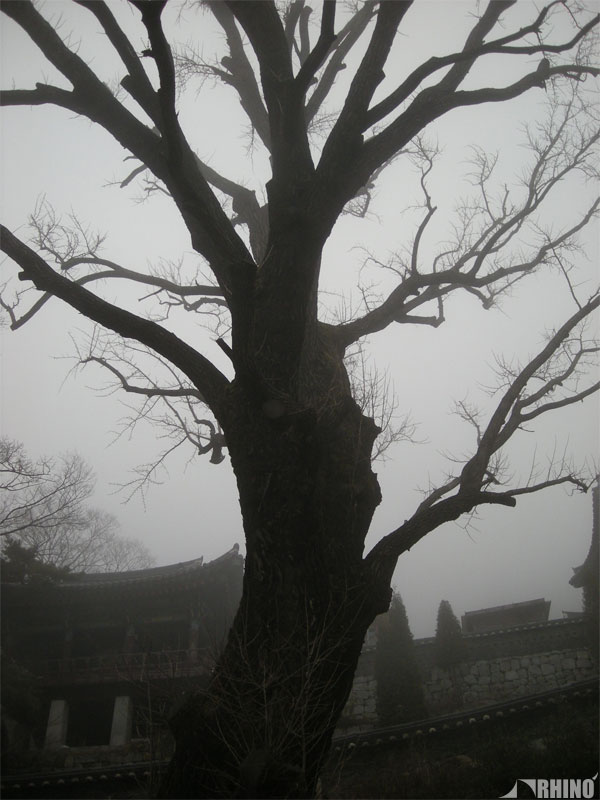 20100228_04.jpg