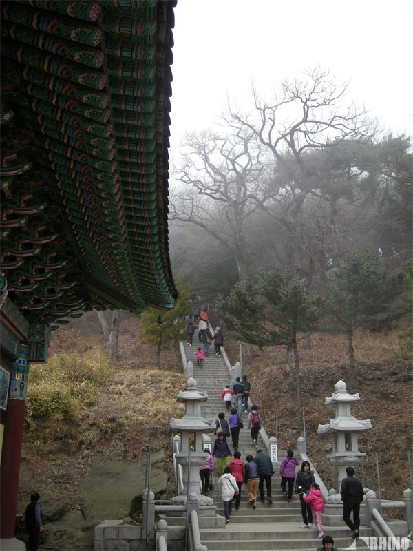 20100228_06.jpg
