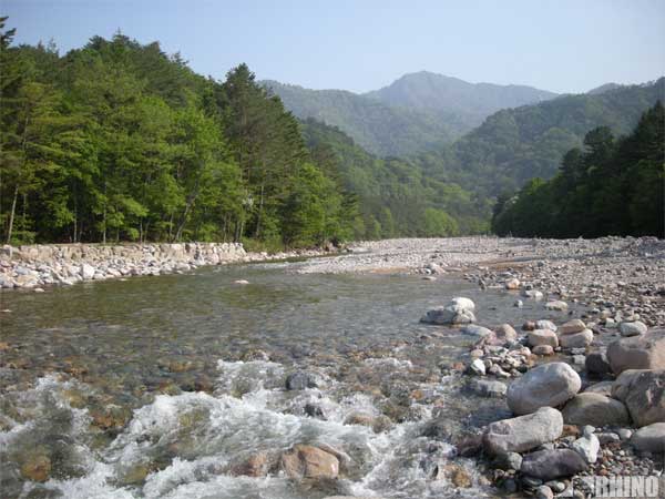 20100520_03.jpg