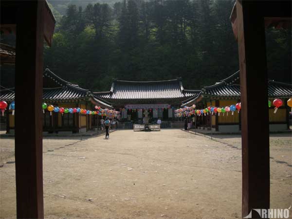 20100520_01.jpg