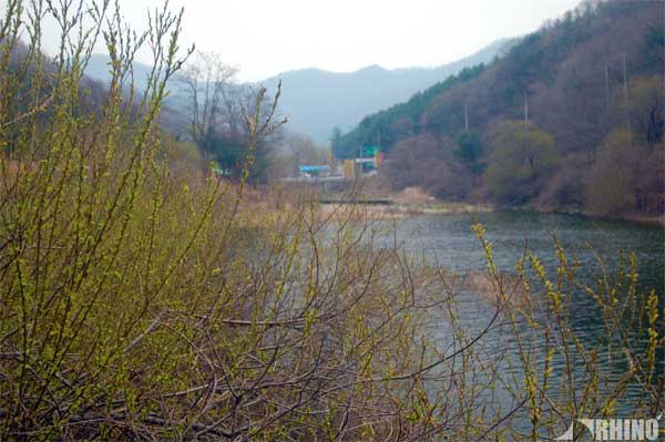 20110412_03.jpg