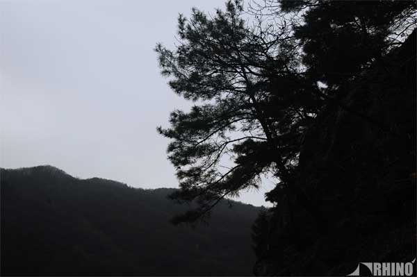 20110412_01.jpg