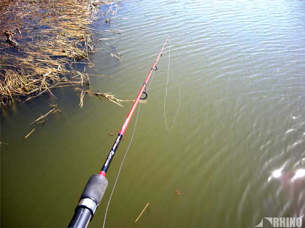 20110418_03.jpg