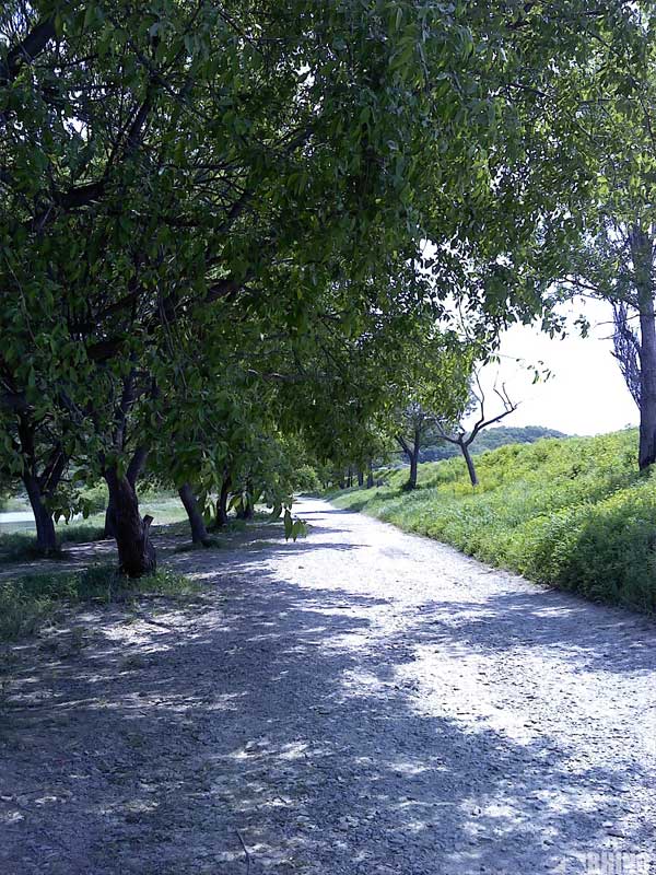 20110517_01.jpg