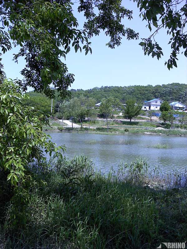 20110517_02.jpg