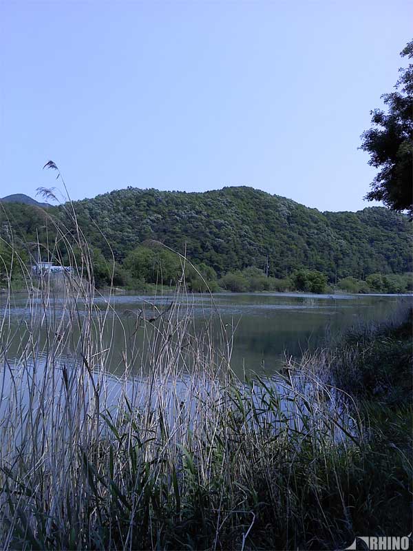 20110517_04.jpg