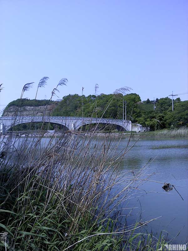 20110517_03.jpg