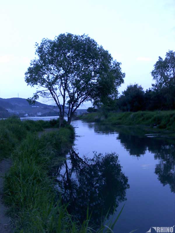 20110526_02.jpg
