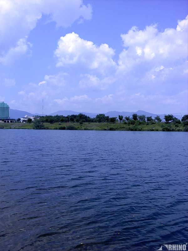 20110613_04.jpg