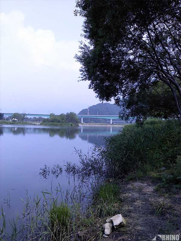20110613_03.jpg