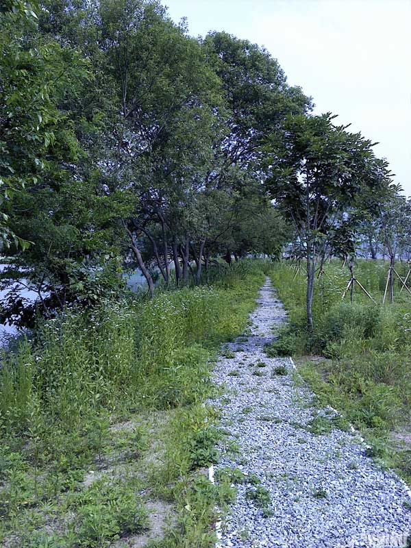 20110613_02.jpg