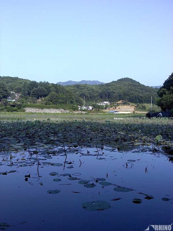 20110621_01.jpg