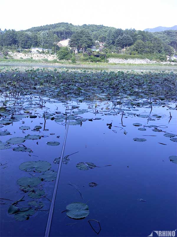 20110621_02.jpg
