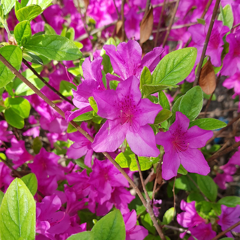 20180421_04.jpg