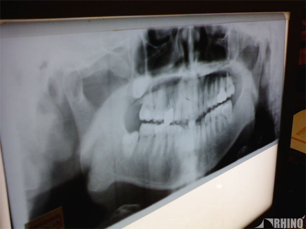 20081223_11.jpg