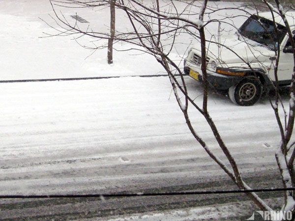 20090116_01.jpg