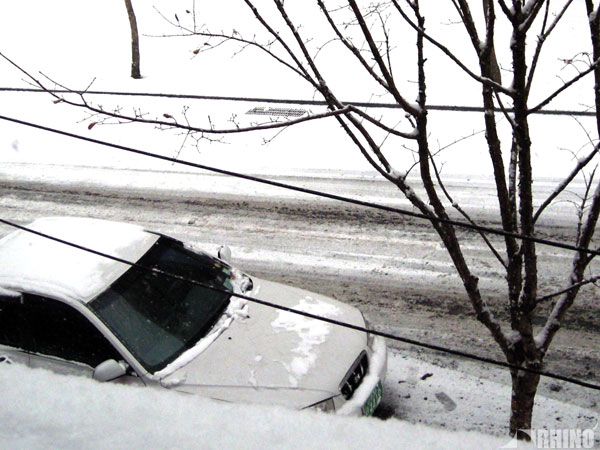20090116_02.jpg