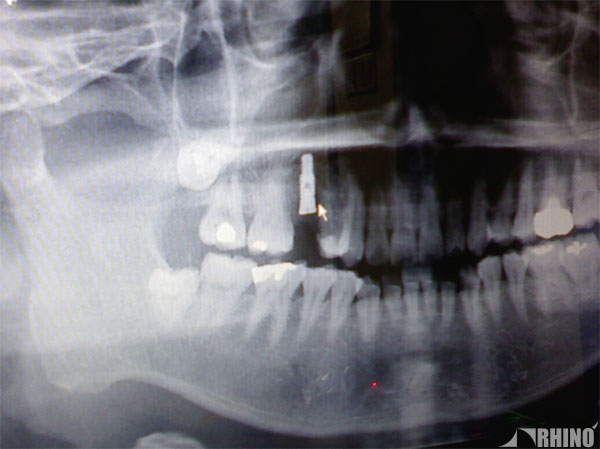 20090306_01.jpg