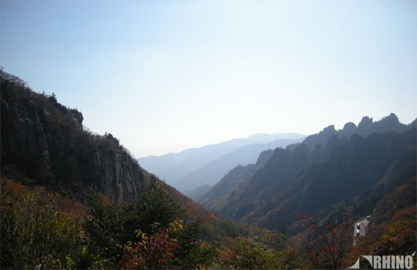 20091019_04.jpg