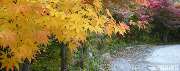 20091019_03.jpg
