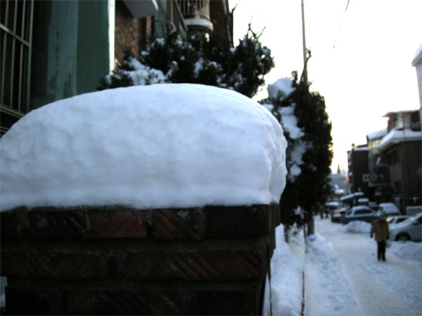 20100105_01.jpg