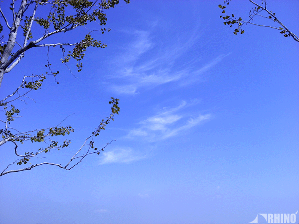 20100918_02.gif