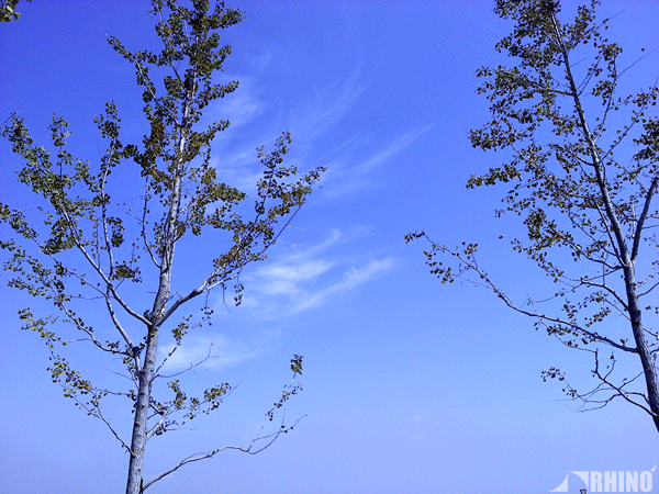 20100918_01.gif