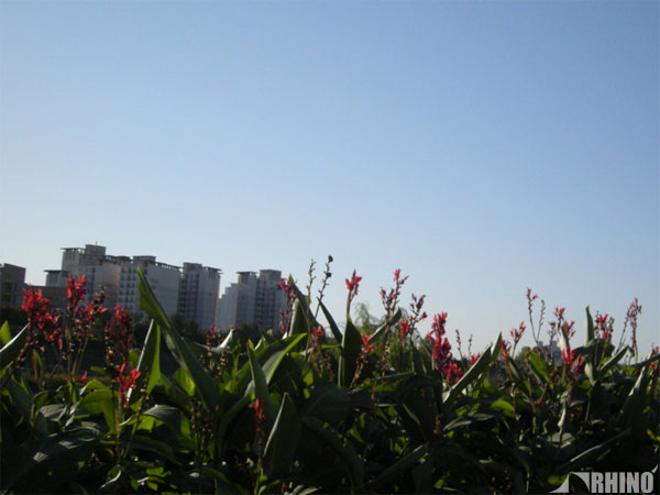 20101026_03.jpg