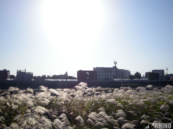 20101026_02.jpg