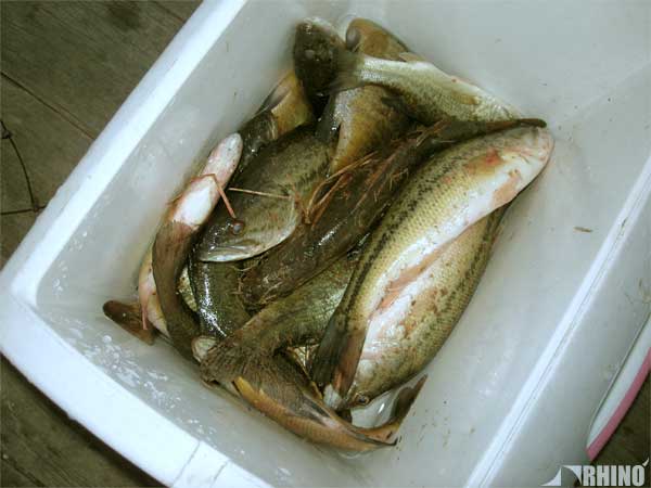 20110413_01.jpg