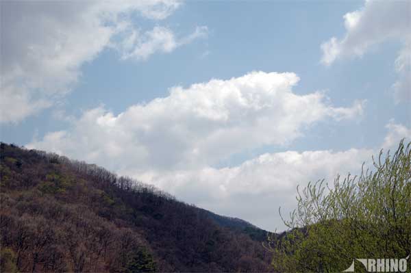 20110423_sky_03.jpg