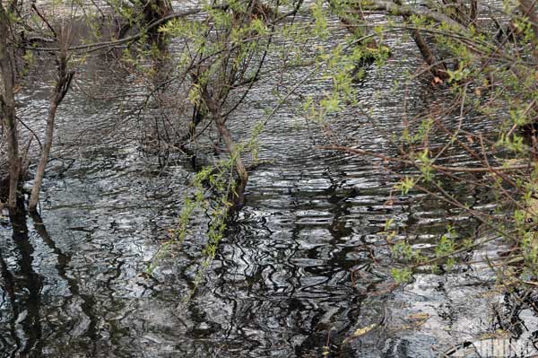 20110423_river_02.jpg