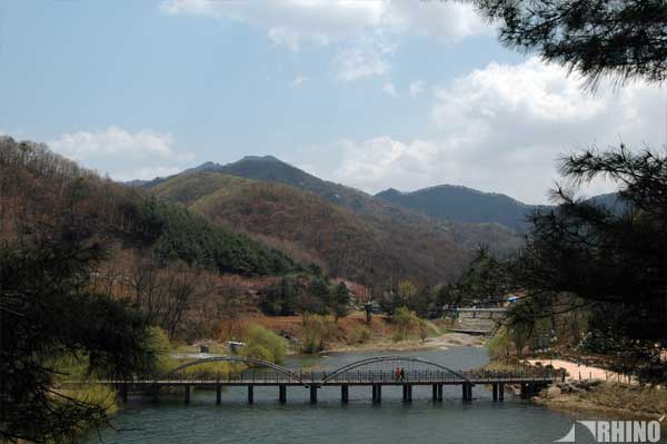 20110423_river_04.jpg
