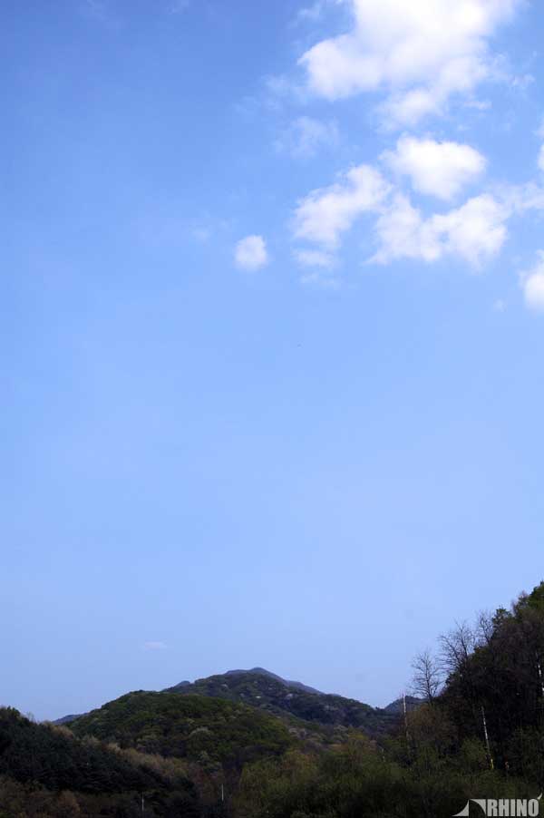 20110505_01.jpg