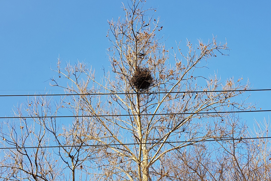 20190224_09.jpg