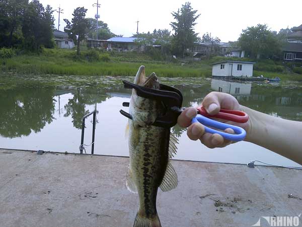 20110608_01.jpg