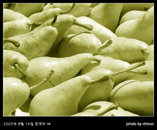 대묘문화시장에서의 의문을 해결하다