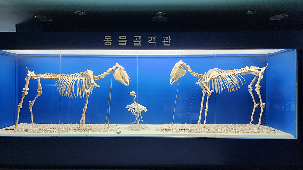 생태 박물관 구경