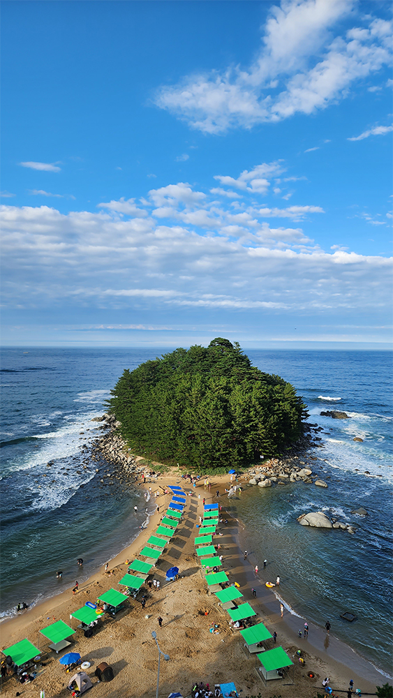 호텔 해변 구경