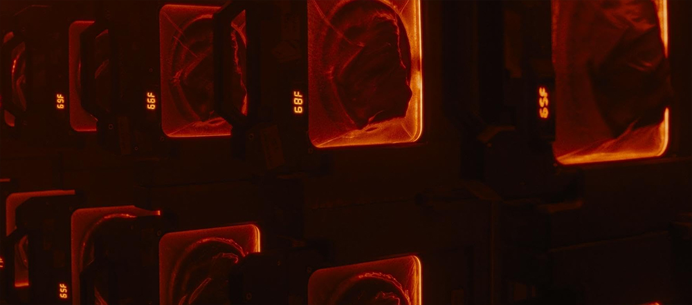 에이리언 로물루스 Alien Romulus 보관중인 페이스 허거 유충들